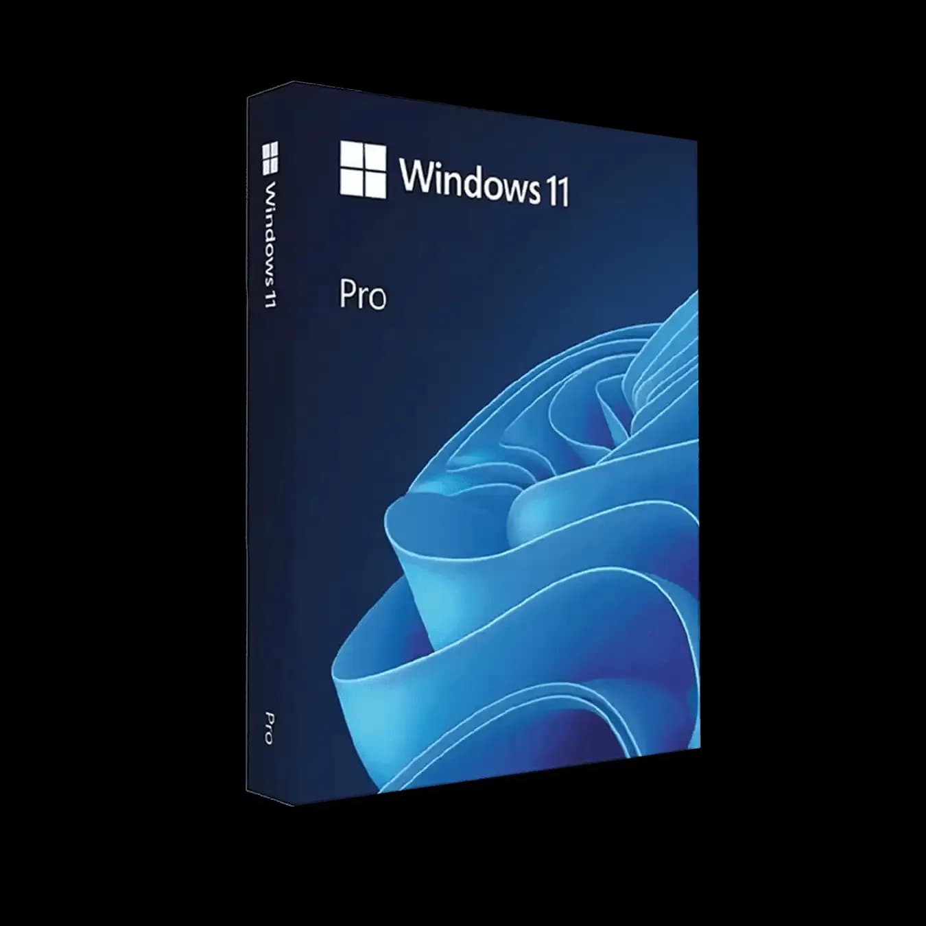 Windows 11 Pro OEM License
